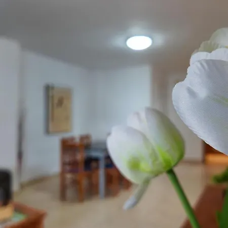 Apartament Apartalux Magic Paradise